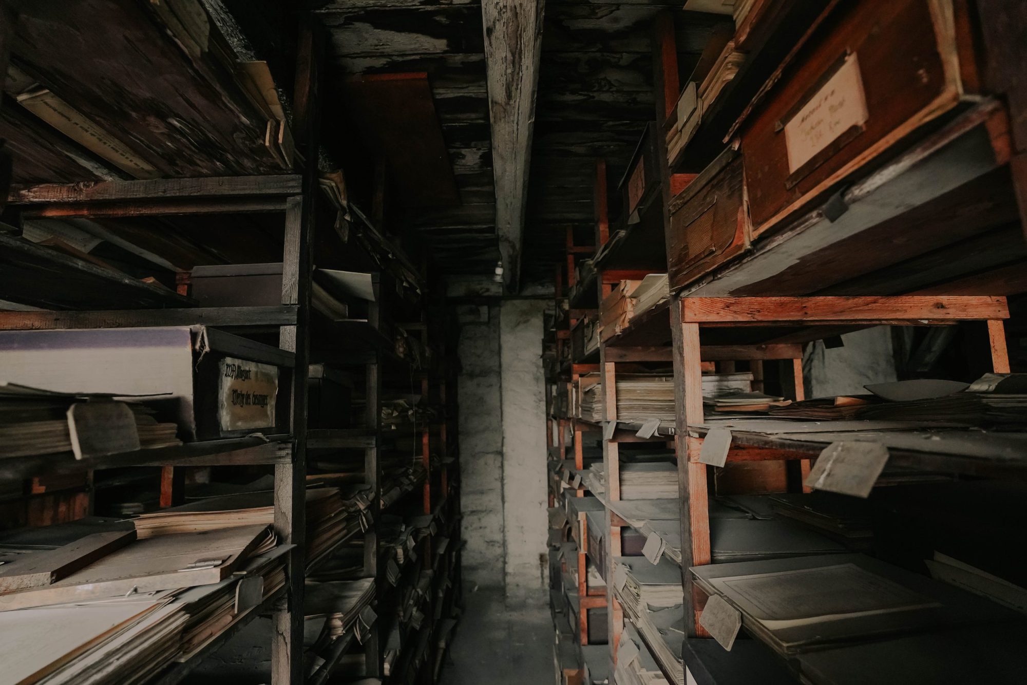 Im Dornröschen&shy;stockwerk (2024)